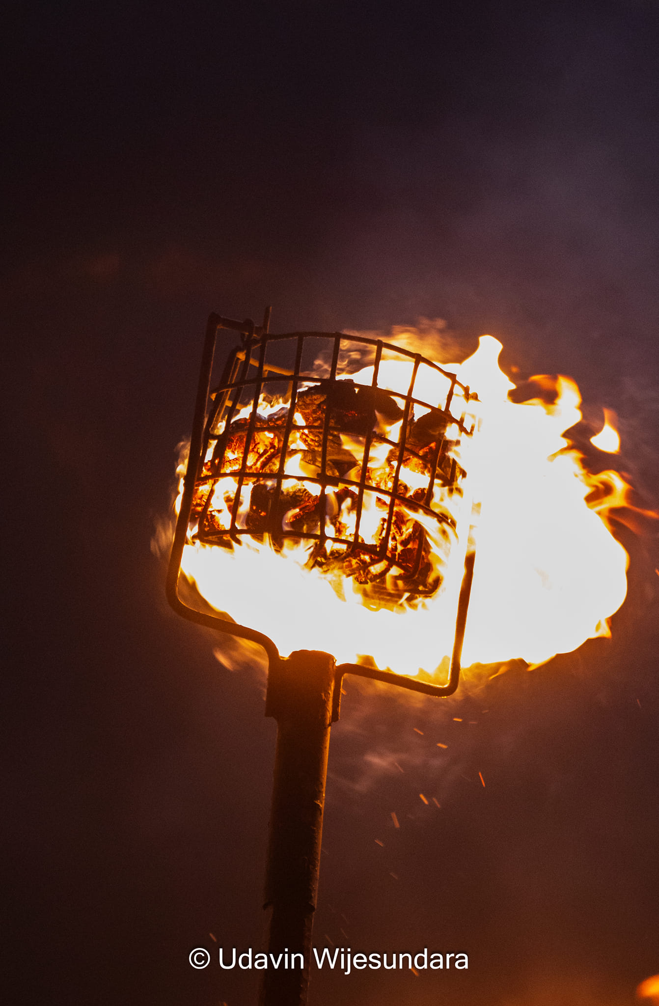 3න් වන කුඹල් පෙරහැර - Additional View